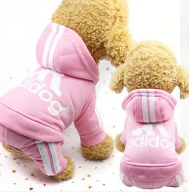 Cozy Canine Casualwear - My Store