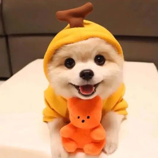Snug Pup Hoodie - My Store