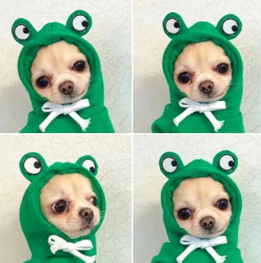 Snug Pup Hoodie - My Store