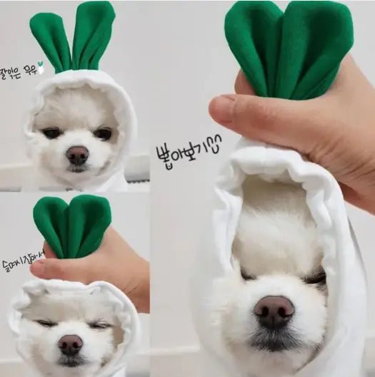 Snug Pup Hoodie - My Store