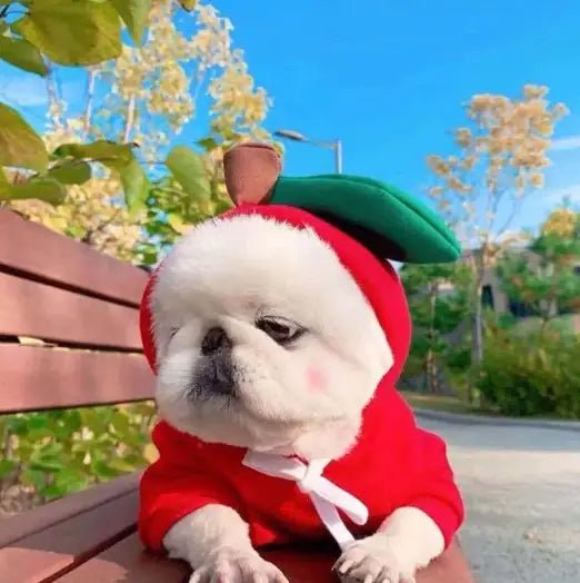 Snug Pup Hoodie - My Store