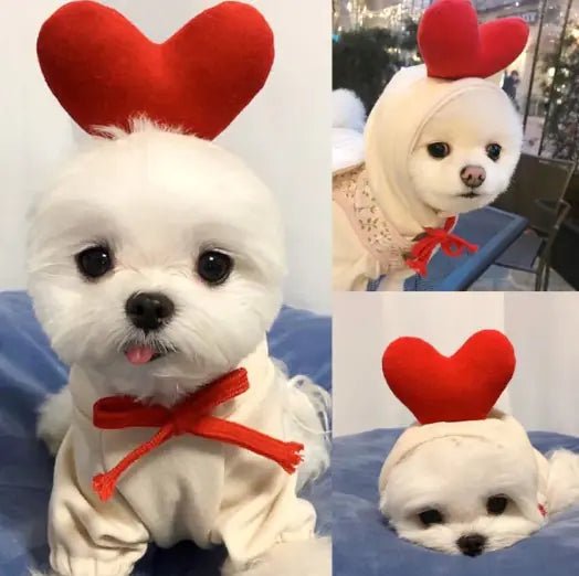 Snug Pup Hoodie - My Store